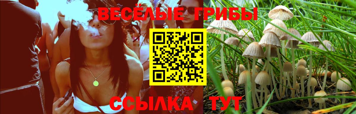 Псилоцибиновые грибы ЛСД  Вход с VPN  Черемхово 